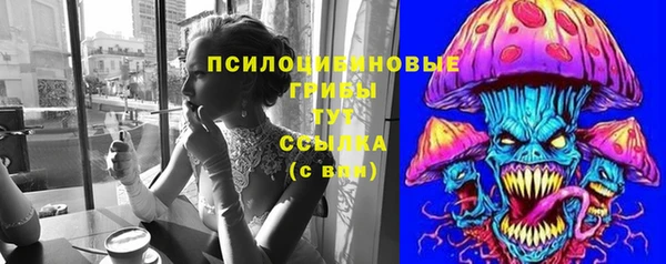 прущая мука Новодвинск