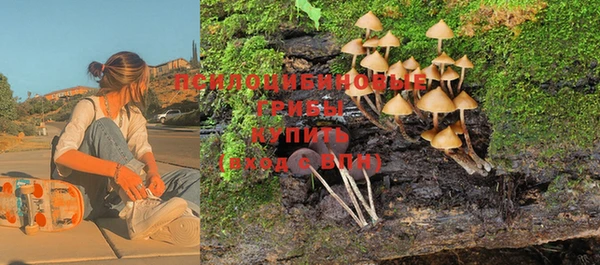 прущая мука Новодвинск