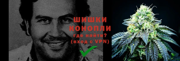 прущая мука Новодвинск