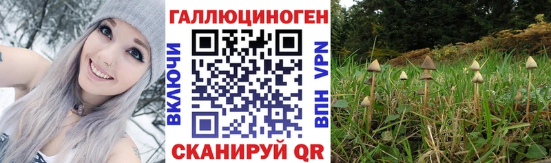 Псилоцибиновые грибы Psilocybine cubensis  Ардон 